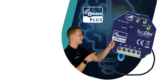 Promotion image