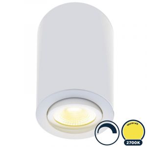 Led opbouwspot 2700K/warm wit, rond, Ø90x134mm, wit