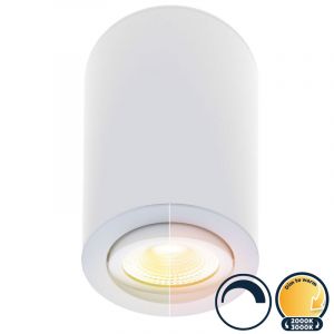 Led opbouwspot dim to warm, rond, Ø90x134mm, wit