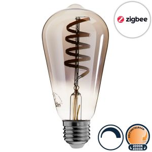 Zigbee led lamp E27 edison 2000K-4000K (ST64)